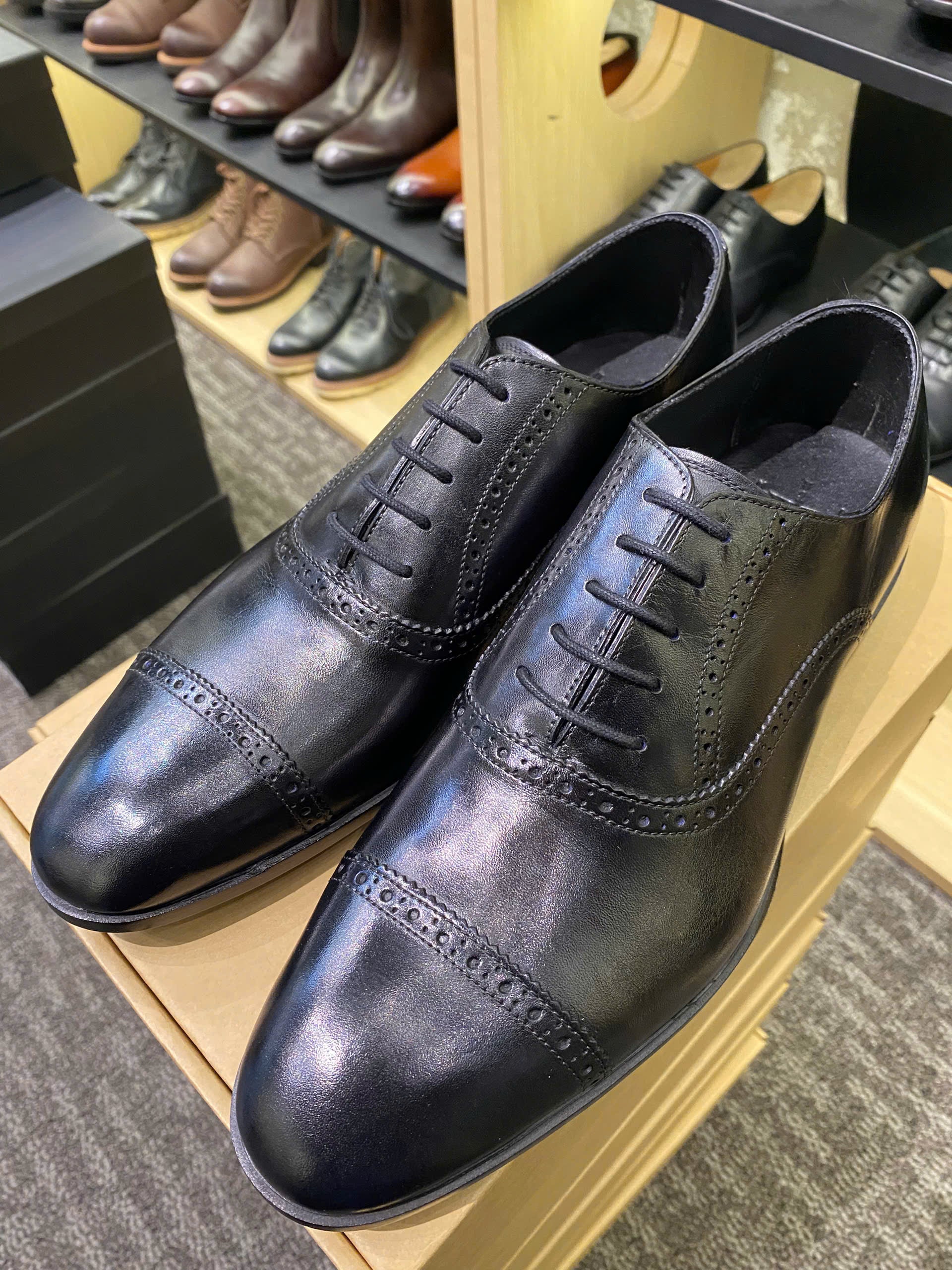 t 019